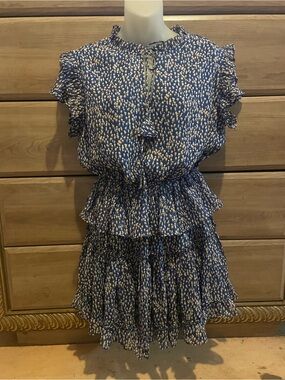 The Reset Blue and White Ruffle Mini Dress